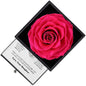 White Gold Necklace with Rose Box - Best Mom