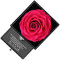 White Gold Necklace with real Rose Gift Box - To my Love