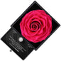 Sterling Silver Necklace with Roses Gift Box - To My Baby